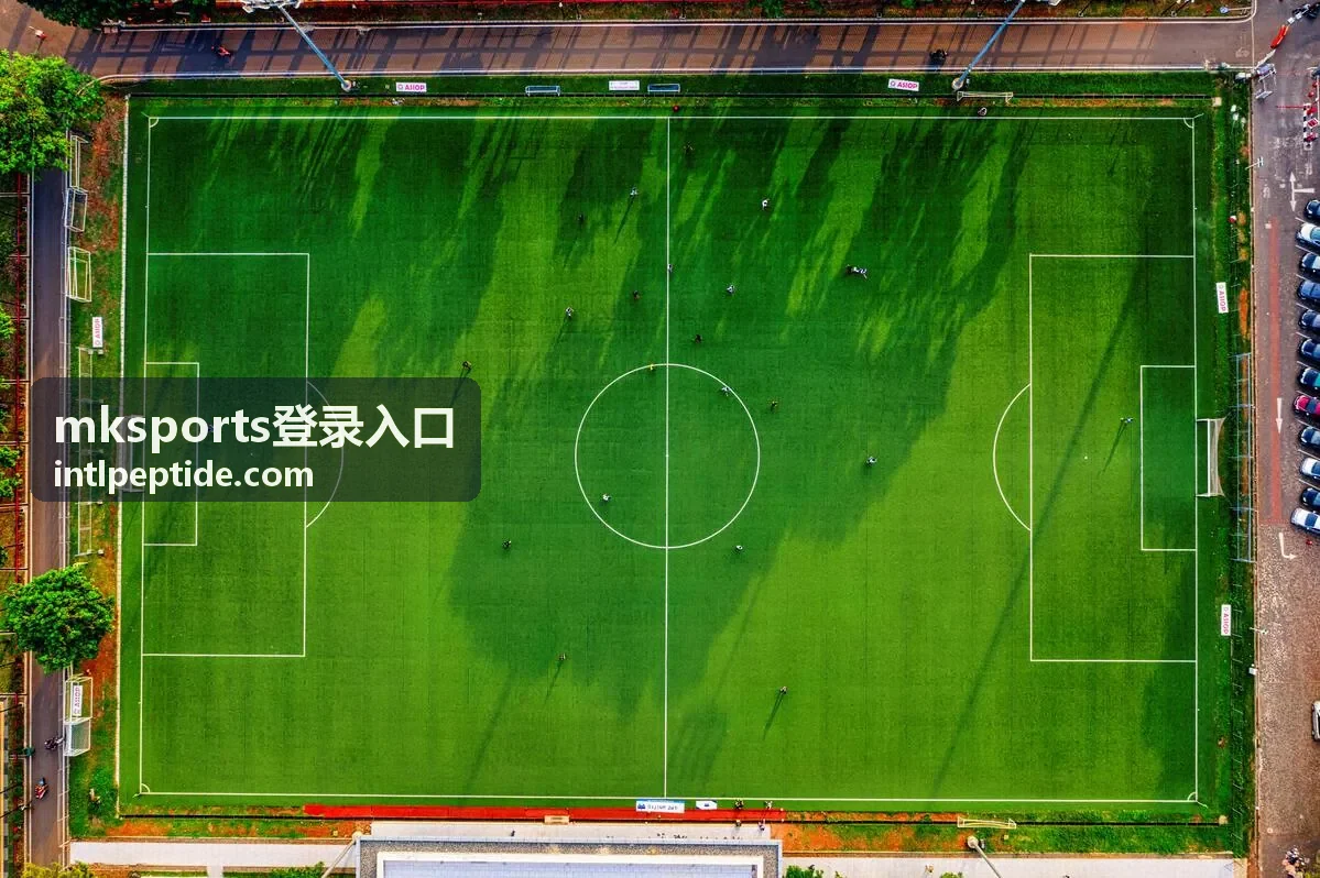 mksports登录入口 访问步骤说明配图